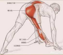 長期堅持腿部拉伸，對腿型有什麼幫助?