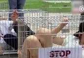 韓國愛狗人士鑽狗籠“自囚”。呼籲禁食狗肉，這事你怎麼看？