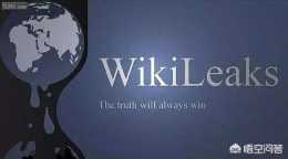請問維基解密和維基百科有什麼關係？