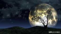 月亮為什麼會有一個永久性陰面？