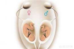 55天雙孕囊一個正常一個未見胚芽及原始心管搏動，還會再發育嗎？