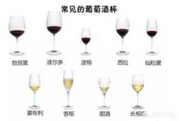 葡萄酒對酒杯的要求有哪些？