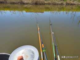 有的地方不允許在河道里釣魚，說魚是他們的朋友，大家見過嗎？你怎麼看？