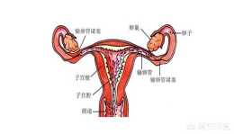 輸卵管左側和右側都堵塞了怎麼辦？是不是永遠不能懷孕了？