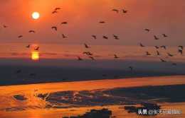 中國五大淡水湖是怎樣形成的？