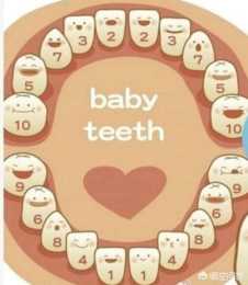 寶寶一般都是幾個月長牙齒呢？