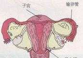 宮頸癌上身，有跡可循！出現哪3個早期症狀，女性就該早做檢查？