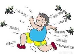 家裡有很多蚊子，該怎麼辦？