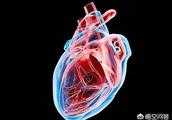 心臟病是怎麼引起的？