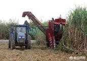 一輛砍甘蔗機械大概要多少錢？