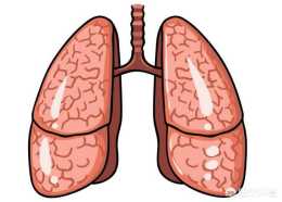 肺不好的人，身體易出現哪些異常表現？如何養護肺部？