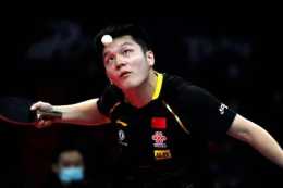 河南新鄉乒乓球世界盃樊振東能奪冠嗎？